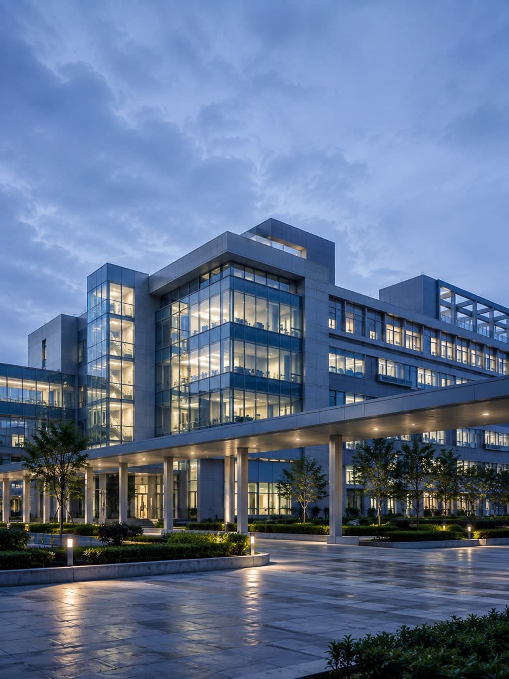 Institutional project environment
